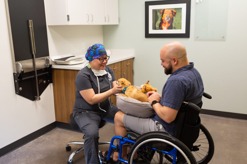 Internal Medicine Consultation for Pets
Meet with doctor