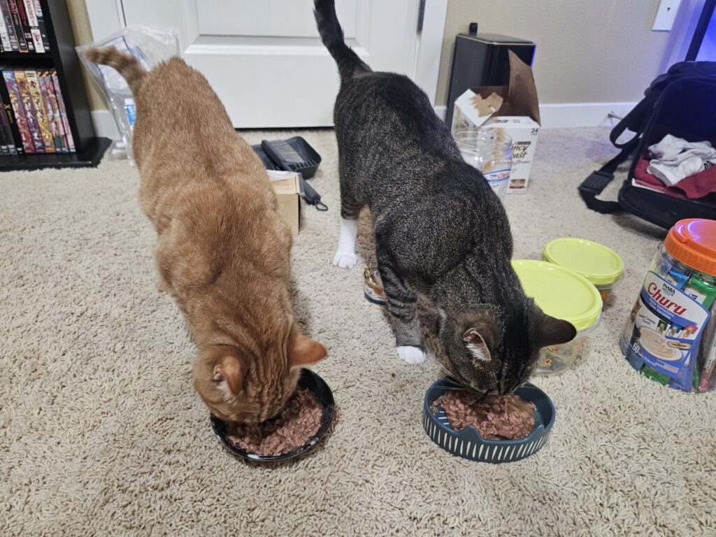 Azrael (left) having a meal with his new brother & kidney donor (Rengoku). 